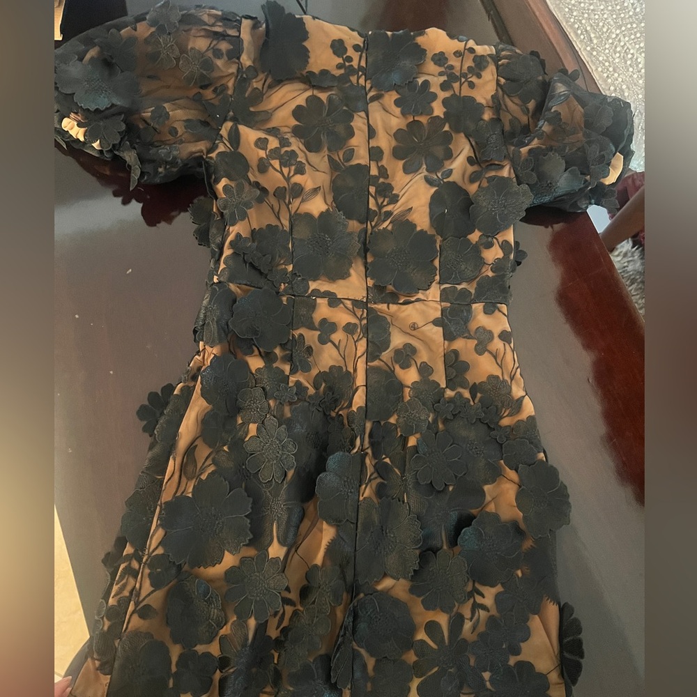Elliatt Black Lace Appliqué Mini Dress - Picture 5 of 6